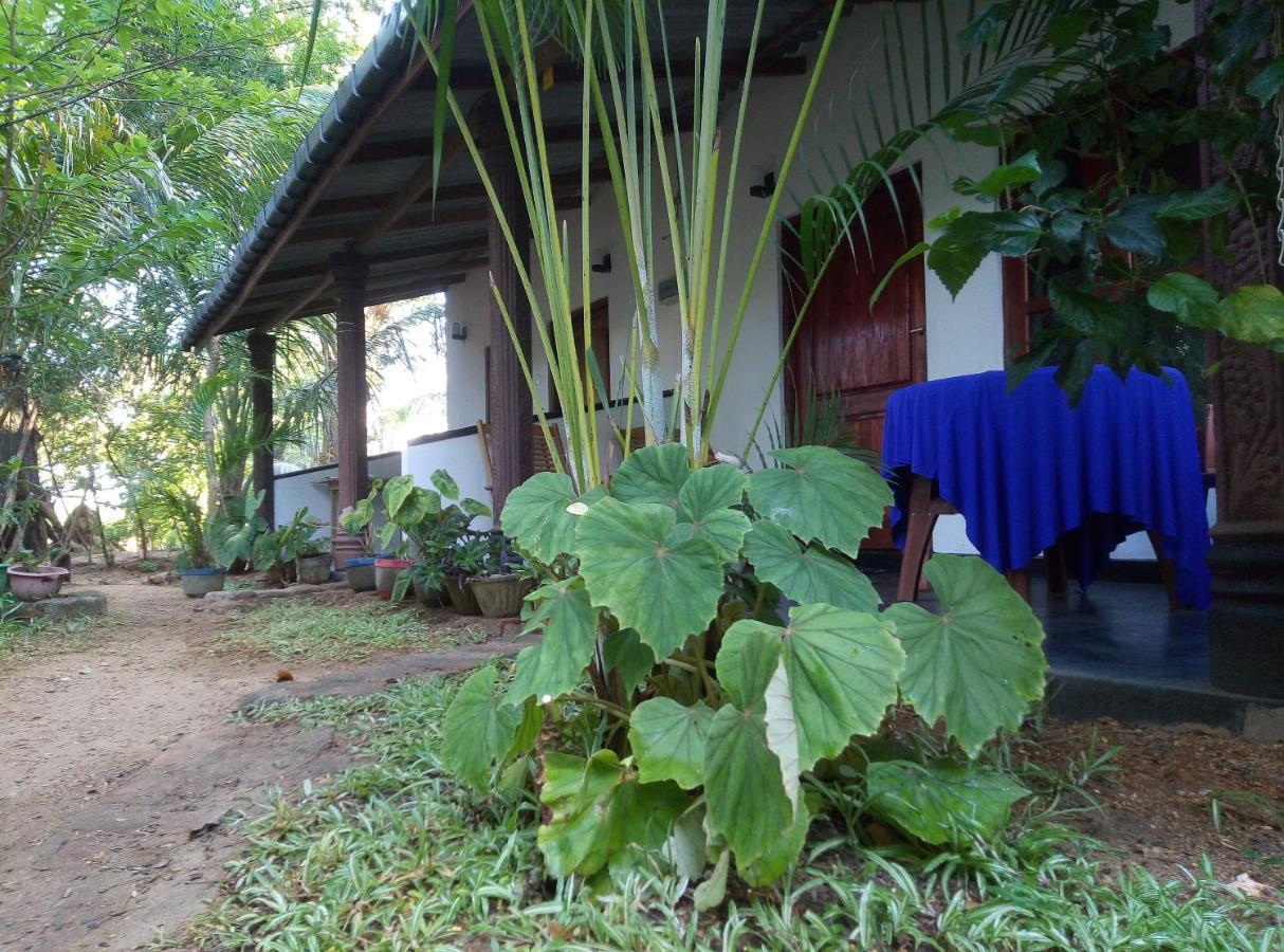 Charly'S Lodge Sigiriya Exterior photo
