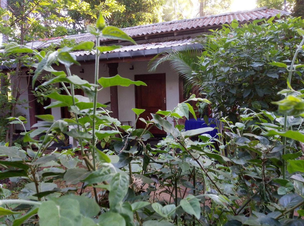 Charly'S Lodge Sigiriya Exterior photo